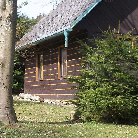Вілла Chata Dvorecna Loucovice Екстер'єр фото